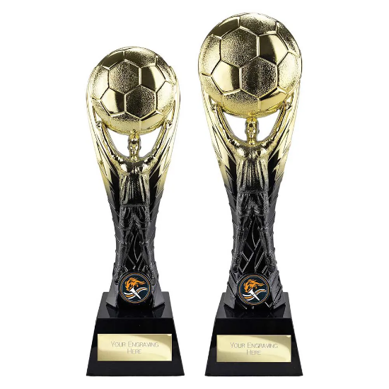 The Winning Goal Football Award