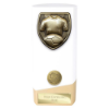 Prime Cobra Football Shirt & Ball Award White & Gold 160mm