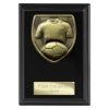 Cobra Plaque Football Shirt & Ball Award Epic Black 125mm