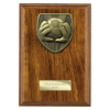Cobra Plaque Football Goal Keeper Award Walnut 175mm
