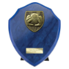 Cobra Shield Football Goal Keeper Award Azure Blue 175mm