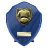 Cobra Shield Football Shirt & Ball Award Azure Blue 150mm