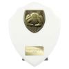 Cobra Shield Football Goal Keeper Award Arctic White 175mm
