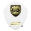 Cobra Shield Football Shirt & Ball Award Arctic White 150mm