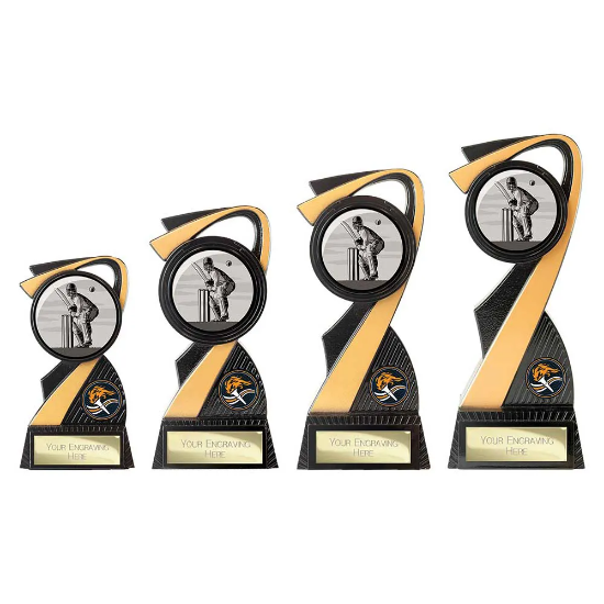 Mania Tower Cricket Award