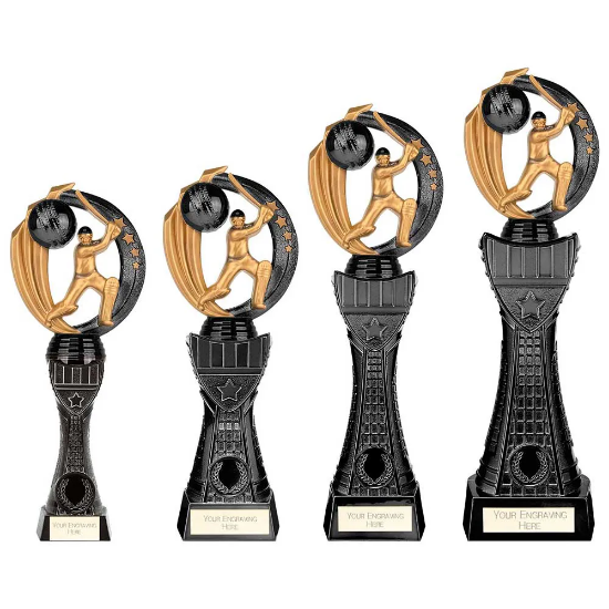 Renegade Heavyweight Cricket Award