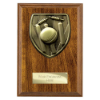 Cobra Plaque Cricket Award Walnut 150mm