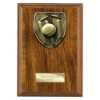 Cobra Plaque Cricket Award Walnut 175mm