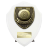 Cobra Shield Pool Award Arctic White 125mm