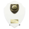 Cobra Shield Pool Award Arctic White 175mm