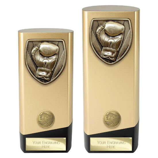 Prime Cobra Boxing Award