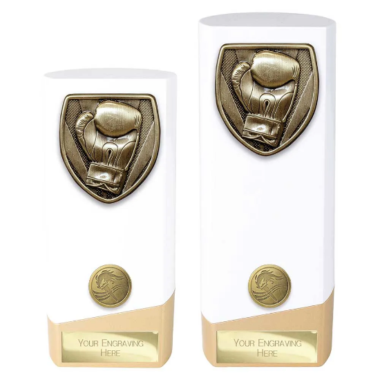 Prime Cobra Boxing Award