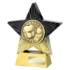 Superstar Boxing Award Black & Gold 140mm
