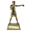 The Classic Boxing Award Metallic Antique Gold 270mm