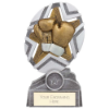 The Stars Boxing Plaque Award Silver & Gold 170mm