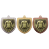 Cobra Martial Arts Gee Shield Medal