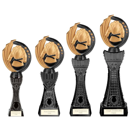 Renegade Heavyweight Martial Arts Award