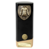 Prime Cobra Martial Arts Award Black & Gold 190mm