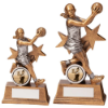 Warrior Star Netball Award