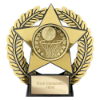 Emperor Star Netball Plaque Gold 120mm
