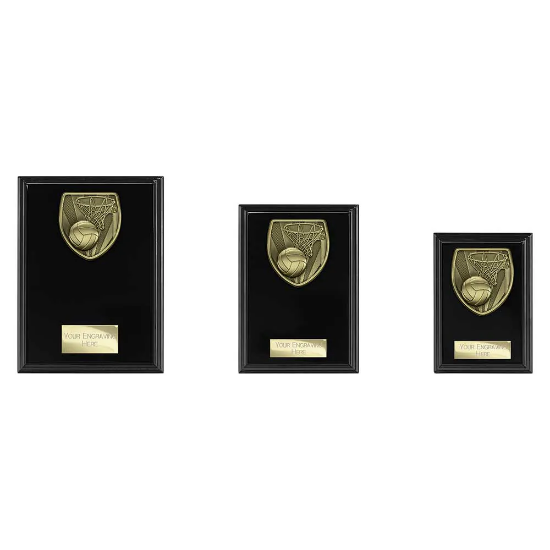 Cobra Plaque Netball Award