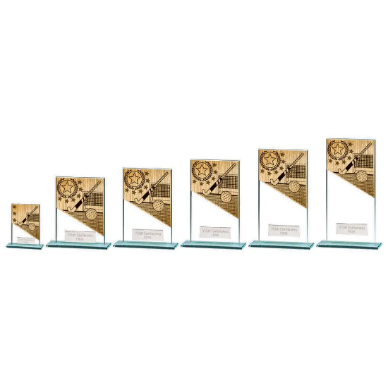 Mustang Hockey Jade Glass Award