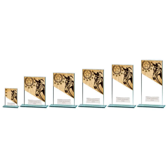 Mustang Equestrian Jade Glass Award