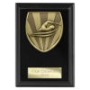 Cobra Plaque Swimming Award Epic Black 125mm