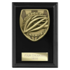 Cobra Plaque Cycling Award Epic Black 125mm