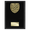 Cobra Plaque Cycling Award Epic Black 175mm