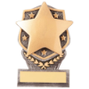 Falcon Achievement Star Plaque Award 105mm