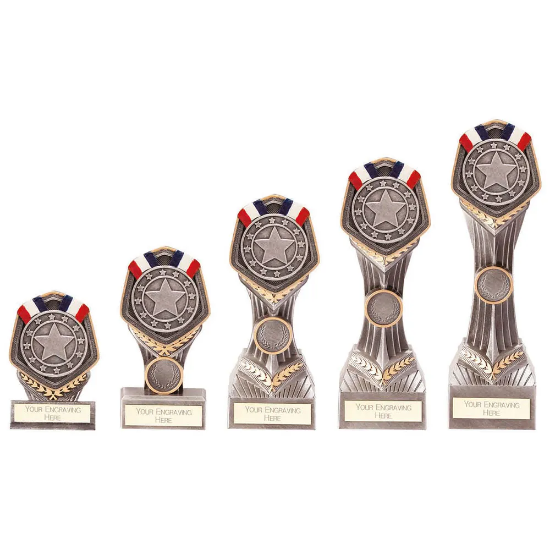 Falcon Silver Medal Award