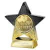 Superstar You're a Hero Award Black & Gold 110mm