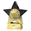 Superstar You're a Hero Award Black & Gold 140mm