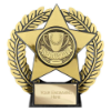 Emperor Star Sports Day Plaque Gold 120mm