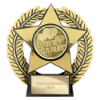 Emperor Star You're a Hero Plaque Gold 120mm