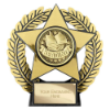 Emperor Star Reading Plaque Gold 120mm