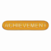Scholar Bar Badge Achievement Yellow 40mm