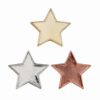 Scholar Pin Badge Star