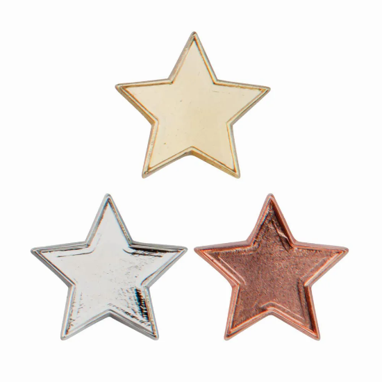 Scholar Pin Badge Star