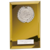 Mirage Multisport Mirror Plaque Gold 180mm