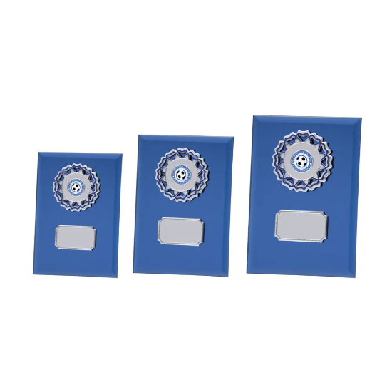 Mirage Multisport Mirror Plaque Blue