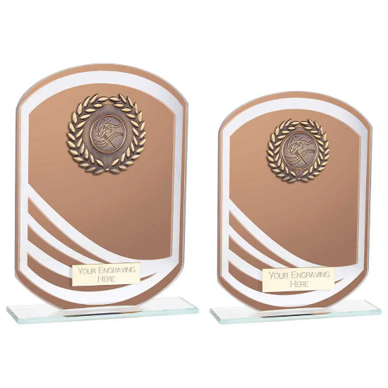 Argon Multisport Glass Award Bronze