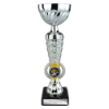 Energy Trophy Silver & Gold 235mm