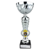 Energy Trophy Silver & Gold 295mm