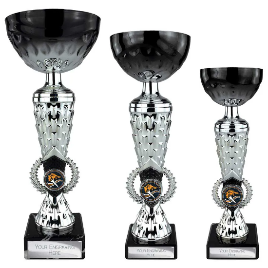 Energy Trophy Black & Silver
