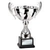 Endeavour Cup Silver 290mm