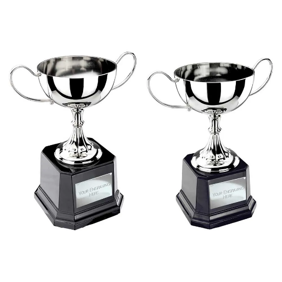 Tavistock Collection Nickel Plated Cup