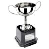 Tavistock Collection Nickel Plated Cup 170mm