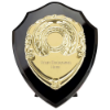 Reward Shield & Front Epic Black & Gold 175mm